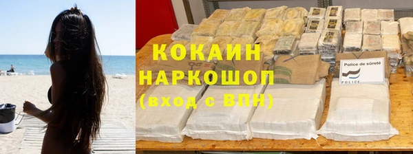 трава Магас
