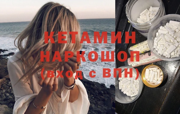 трава Магас