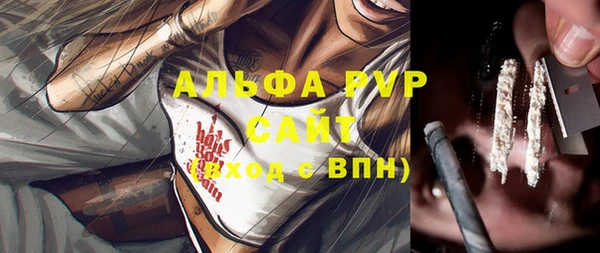 трава Магас