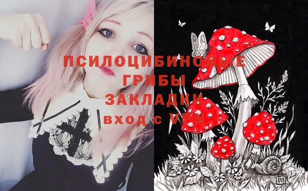 трава Магас